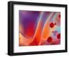 Beautiful Abstract Colorful Background, Oil on Water Surface-Abstract Oil Work-Framed Photographic Print