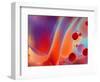 Beautiful Abstract Colorful Background, Oil on Water Surface-Abstract Oil Work-Framed Photographic Print