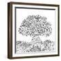 Beautiful Abstract Tree for Design Element and Adult Coloring Book. Vector Illustration-null-Framed Art Print