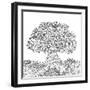 Beautiful Abstract Tree for Design Element and Adult Coloring Book. Vector Illustration-null-Framed Art Print