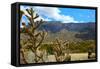 Beautiful Albuquerque Landscape with the Sandia Mountains-pdb1-Framed Stretched Canvas