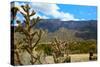 Beautiful Albuquerque Landscape with the Sandia Mountains-pdb1-Stretched Canvas