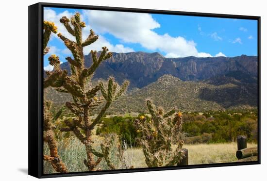 Beautiful Albuquerque Landscape with the Sandia Mountains-pdb1-Framed Stretched Canvas