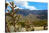 Beautiful Albuquerque Landscape with the Sandia Mountains-pdb1-Stretched Canvas