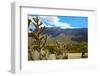 Beautiful Albuquerque Landscape with the Sandia Mountains-pdb1-Framed Photographic Print