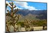 Beautiful Albuquerque Landscape with the Sandia Mountains-pdb1-Mounted Photographic Print