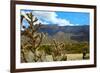 Beautiful Albuquerque Landscape with the Sandia Mountains-pdb1-Framed Photographic Print