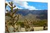 Beautiful Albuquerque Landscape with the Sandia Mountains-pdb1-Mounted Photographic Print