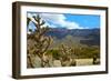 Beautiful Albuquerque Landscape with the Sandia Mountains-pdb1-Framed Photographic Print