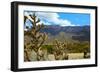 Beautiful Albuquerque Landscape with the Sandia Mountains-pdb1-Framed Photographic Print