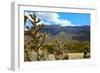 Beautiful Albuquerque Landscape with the Sandia Mountains-pdb1-Framed Photographic Print