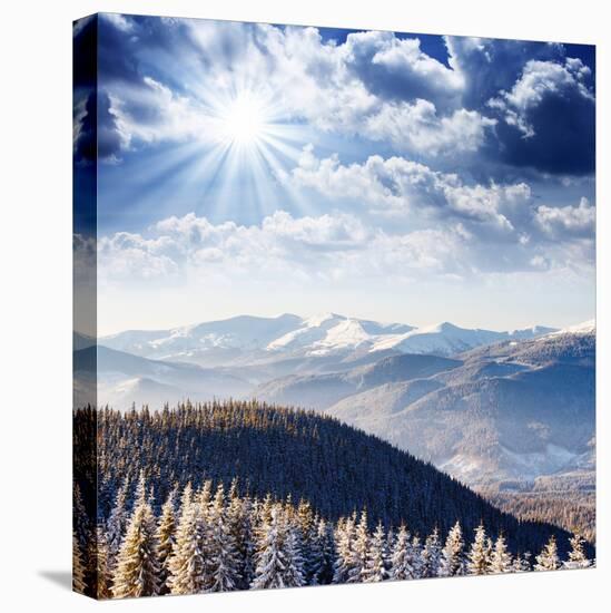 Beautiful and Frosty Winter Landscape in the Mountains-Leonid Tit-Stretched Canvas