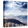 Beautiful and Frosty Winter Landscape in the Mountains-Leonid Tit-Stretched Canvas