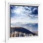 Beautiful and Frosty Winter Landscape in the Mountains-Leonid Tit-Framed Photographic Print