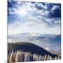 Beautiful and Frosty Winter Landscape in the Mountains-Leonid Tit-Mounted Photographic Print