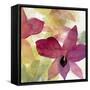 Beautiful and Peace Orchid II-Lanie Loreth-Framed Stretched Canvas