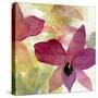Beautiful and Peace Orchid II-Lanie Loreth-Stretched Canvas