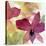 Beautiful and Peace Orchid II-Lanie Loreth-Stretched Canvas