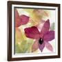 Beautiful and Peace Orchid II-Lanie Loreth-Framed Art Print