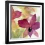 Beautiful and Peace Orchid II-Lanie Loreth-Framed Art Print