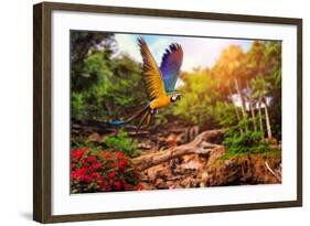 Beautiful Ara Parrot on Tropical Forest Background-NejroN Photo-Framed Photographic Print