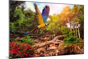 Beautiful Ara Parrot on Tropical Forest Background-NejroN Photo-Mounted Photographic Print