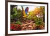 Beautiful Ara Parrot on Tropical Forest Background-NejroN Photo-Framed Photographic Print