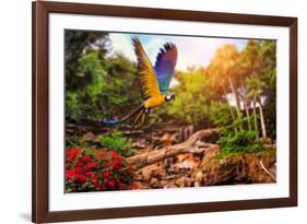 Beautiful Ara Parrot on Tropical Forest Background-NejroN Photo-Framed Photographic Print