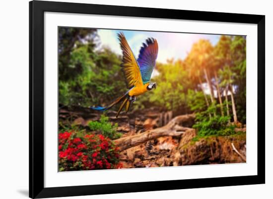 Beautiful Ara Parrot on Tropical Forest Background-NejroN Photo-Framed Photographic Print