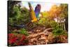 Beautiful Ara Parrot on Tropical Forest Background-NejroN Photo-Stretched Canvas