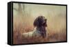 Beautiful Aragorn-Heike Willers-Framed Stretched Canvas