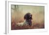 Beautiful Aragorn-Heike Willers-Framed Photographic Print