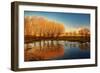 Beautiful Autumn Landscape, Dry Trees, Blue Sky, Tree Reflected in Lake, Seasons Change, Sunny Day,-Anna Omelchenko-Framed Photographic Print