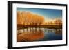 Beautiful Autumn Landscape, Dry Trees, Blue Sky, Tree Reflected in Lake, Seasons Change, Sunny Day,-Anna Omelchenko-Framed Photographic Print