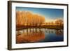 Beautiful Autumn Landscape, Dry Trees, Blue Sky, Tree Reflected in Lake, Seasons Change, Sunny Day,-Anna Omelchenko-Framed Photographic Print