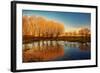 Beautiful Autumn Landscape, Dry Trees, Blue Sky, Tree Reflected in Lake, Seasons Change, Sunny Day,-Anna Omelchenko-Framed Photographic Print