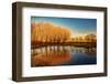 Beautiful Autumn Landscape, Dry Trees, Blue Sky, Tree Reflected in Lake, Seasons Change, Sunny Day,-Anna Omelchenko-Framed Photographic Print