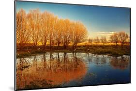 Beautiful Autumn Landscape, Dry Trees, Blue Sky, Tree Reflected in Lake, Seasons Change, Sunny Day,-Anna Omelchenko-Mounted Photographic Print