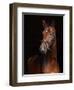 Beautiful Bay Horse Standing in the Stable Door-horsemen-Framed Photographic Print