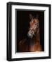 Beautiful Bay Horse Standing in the Stable Door-horsemen-Framed Photographic Print