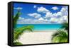 Beautiful Beach and Tropical Sea-Vitaliy Pakhnyushchyy-Framed Stretched Canvas