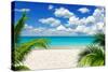 Beautiful Beach and Tropical Sea-Vitaliy Pakhnyushchyy-Stretched Canvas