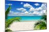 Beautiful Beach and Tropical Sea-Vitaliy Pakhnyushchyy-Mounted Photographic Print