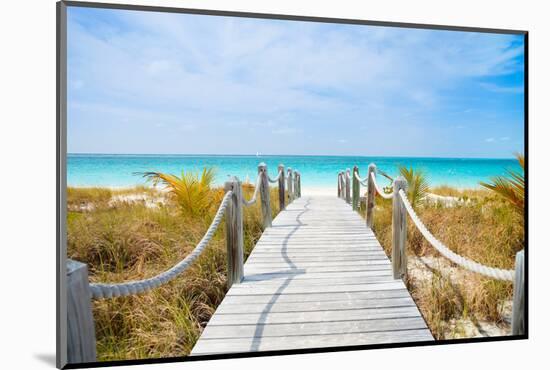 Beautiful Beach at Caribbean Providenciales Island in Turks and Caicos-BlueOrange Studio-Mounted Photographic Print