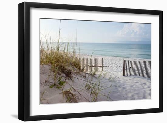 Beautiful Beach at Sunrise-forestpath-Framed Premium Photographic Print