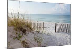 Beautiful Beach at Sunrise-forestpath-Mounted Photographic Print