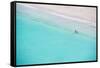 Beautiful Beach, Bay of Islands, in the Waikare Inlet Near Russell, Northland Region, North Island-Matthew Williams-Ellis-Framed Stretched Canvas