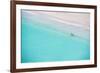 Beautiful Beach, Bay of Islands, in the Waikare Inlet Near Russell, Northland Region, North Island-Matthew Williams-Ellis-Framed Photographic Print