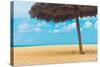 Beautiful Beach in Aruba, Caribbean Islands, Lesser Antilles-mffoto-Stretched Canvas