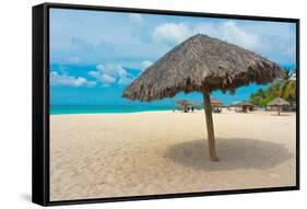 Beautiful Beach in Aruba, Caribbean Islands, Lesser Antilles-mffoto-Framed Stretched Canvas